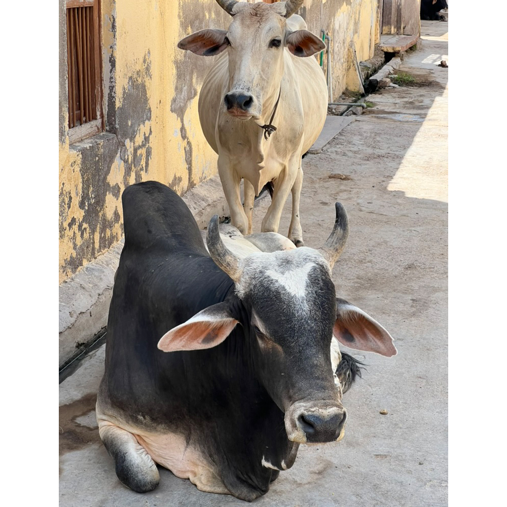 Product with background