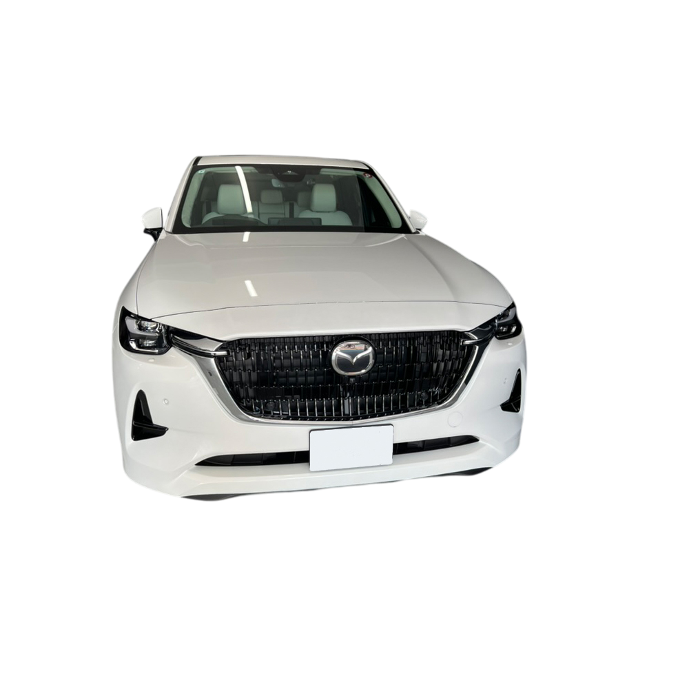 Person without background